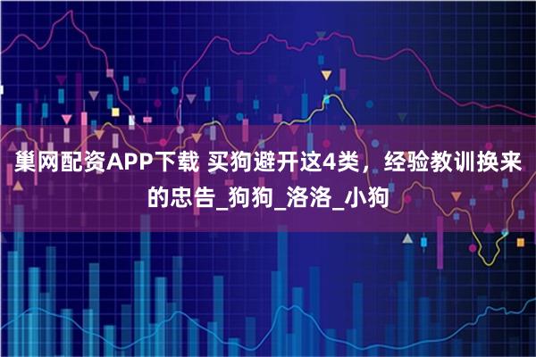 巢网配资APP下载 买狗避开这4类，经验教训换来的忠告_狗狗_洛洛_小狗