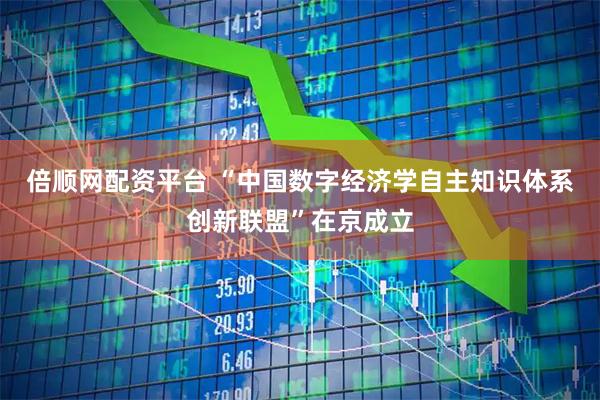 倍顺网配资平台 “中国数字经济学自主知识体系创新联盟”在京成立