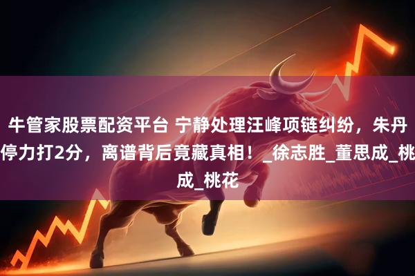 牛管家股票配资平台 宁静处理汪峰项链纠纷，朱丹调停力打2分，离谱背后竟藏真相！_徐志胜_董思成_桃花