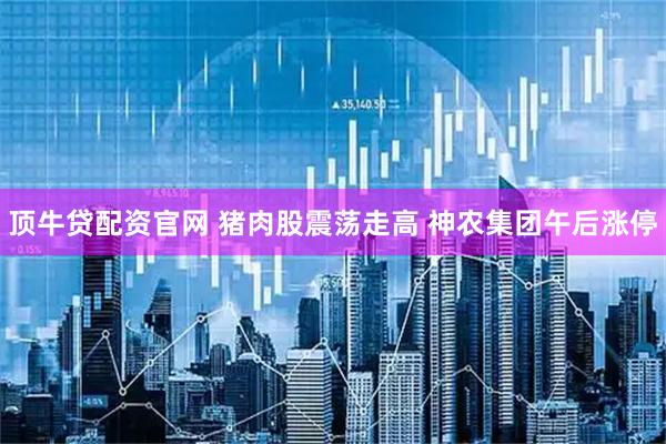 顶牛贷配资官网 猪肉股震荡走高 神农集团午后涨停