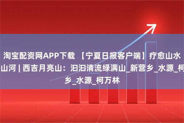 淘宝配资网APP下载 【宁夏日报客户端】疗愈山水 再造山河 | 西吉月亮山：汩汩清流绿满山_新营乡_水源_柯万林